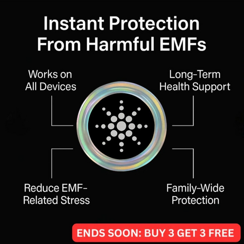 NShield Single EMF Chip